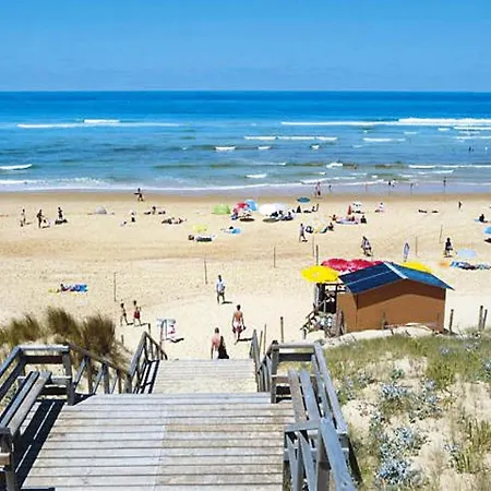Terraced In * 몰리엣젯마