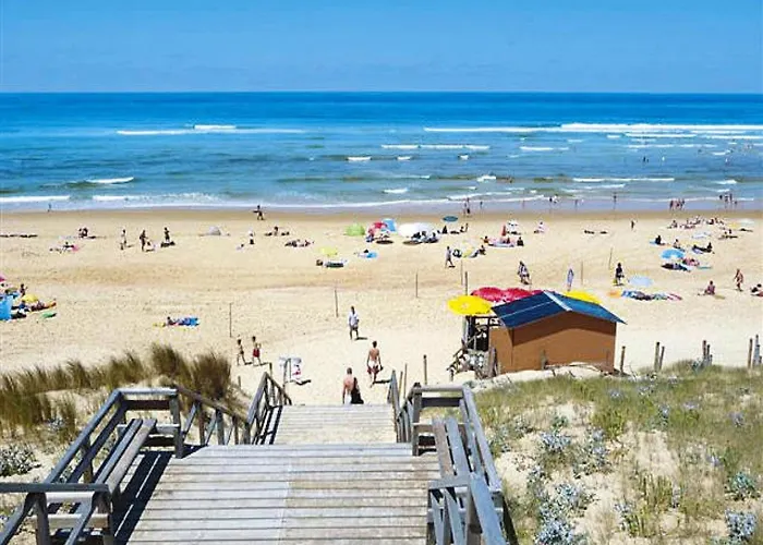 Terraced In * 몰리엣젯마